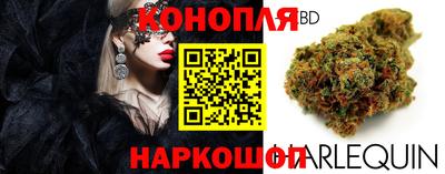 ALPHA PVP Комсомольск-на-Амуре