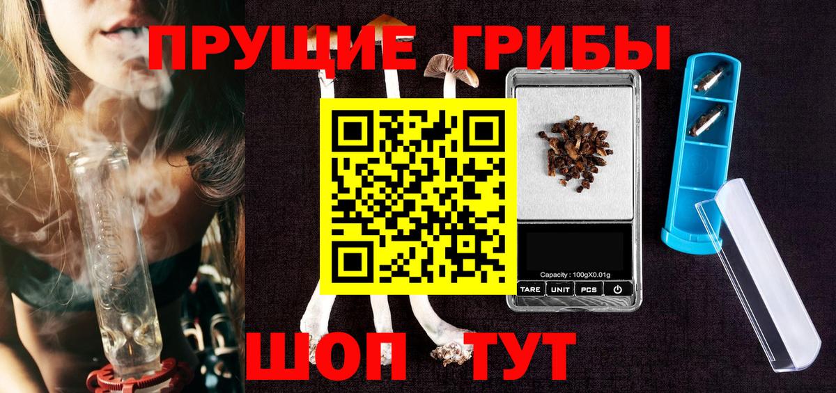 Кимры  Псилоцибиновые грибы GOLDEN TEACHER  где купить наркотик  Вход с VPN  Галлюциногенные грибы прущие грибы 